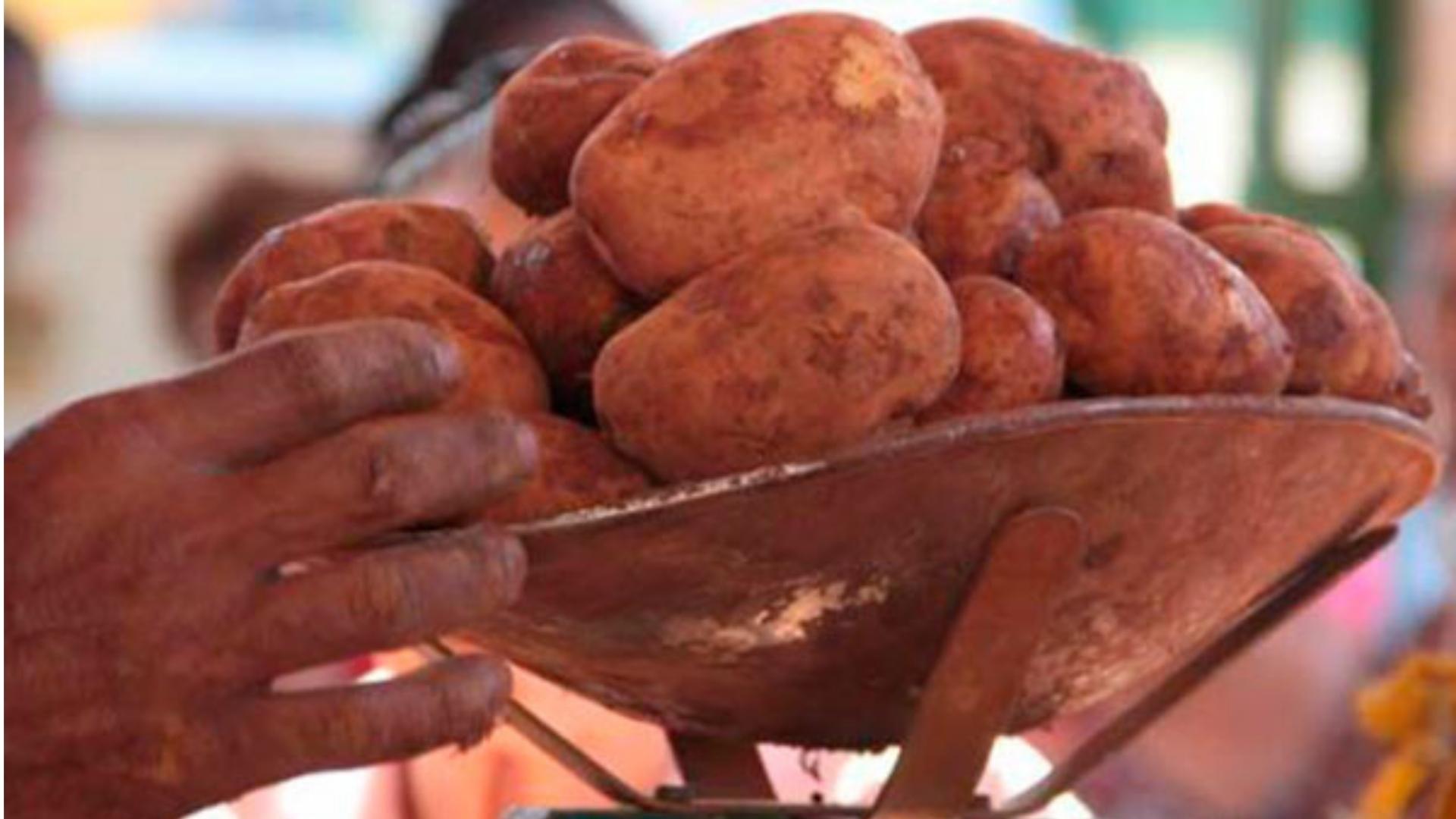 Cuba: venta de 3 libras de papas por persona