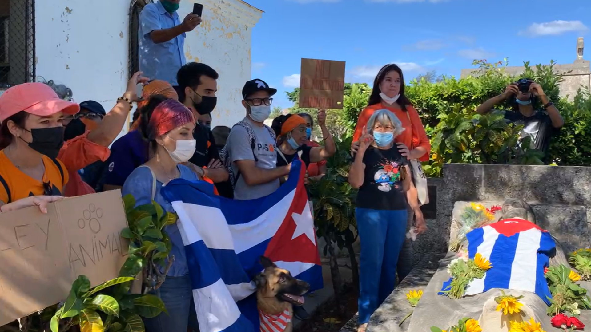 Manifestación por el día del perro en Cuba