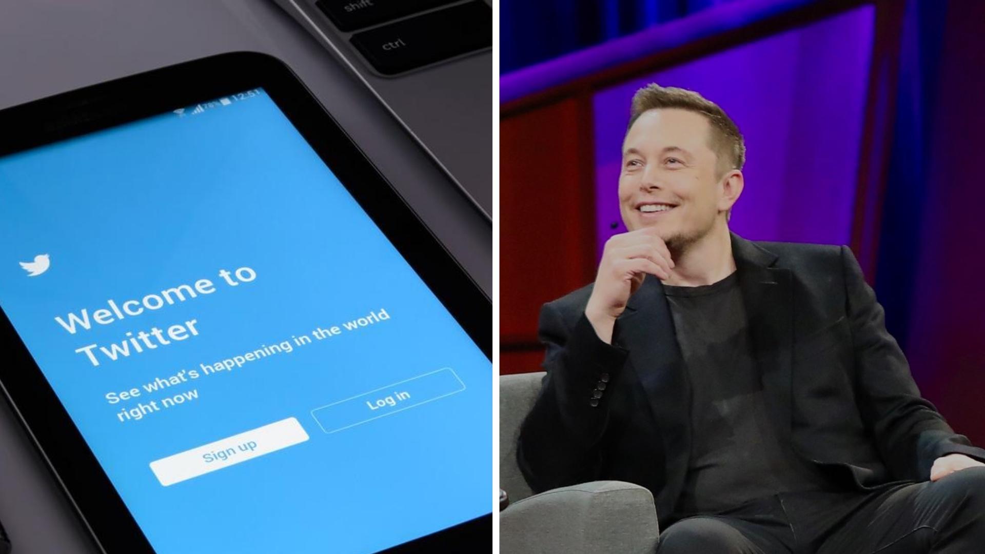 Elon Musk compra Twitter. Collage: ADN Cuba