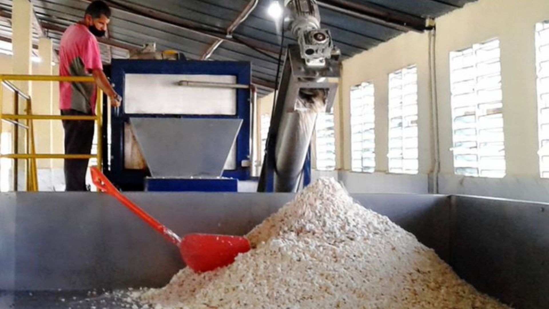 El director de la Cooperativa, Modesto Rodríguez Rodríguez, dijo a la prensa que la primera harina obtenida por la planta se entregó a la Empresa Municipal del Pan, de Abreus
