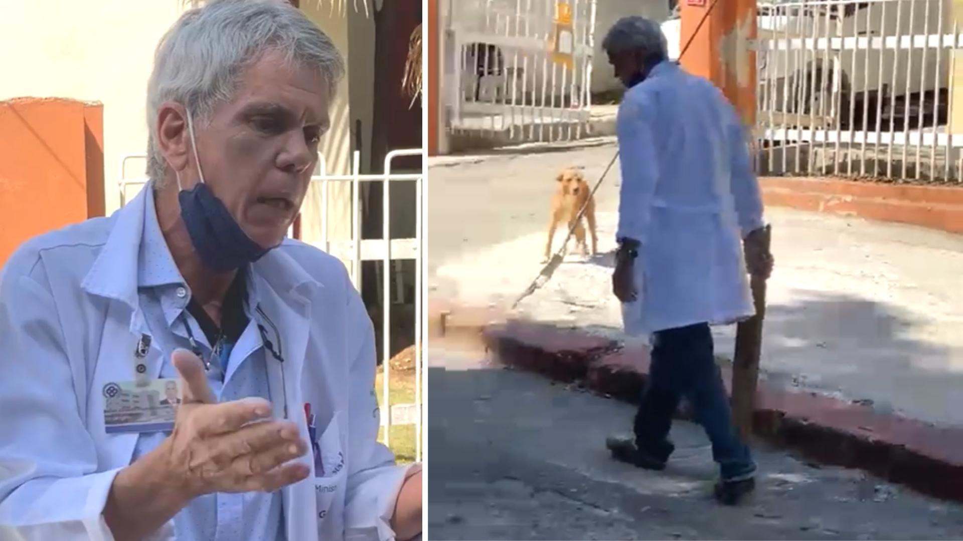 Palmero Álvarez dejó a la mascota “inconsciente” en el piso, según denunciaron animalistas en redes sociales