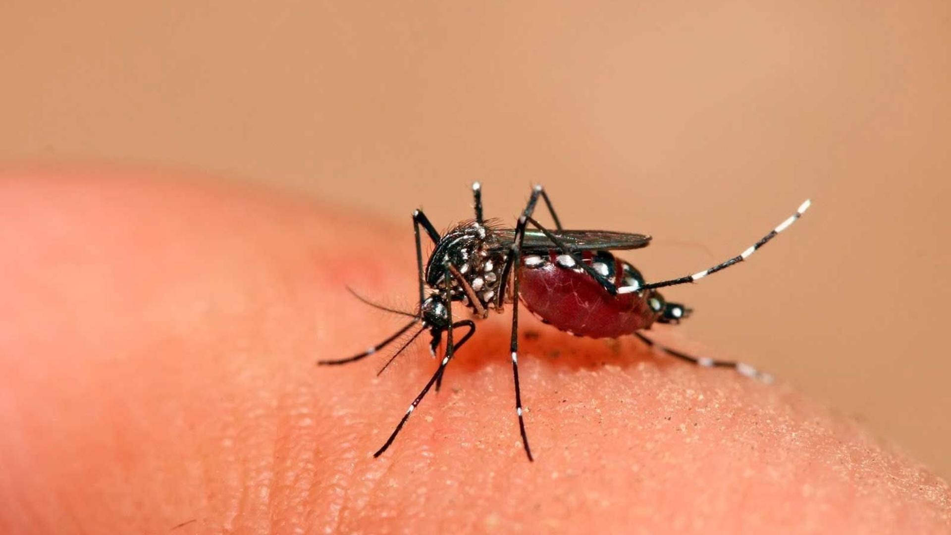 Desatado el dengue en Cuba