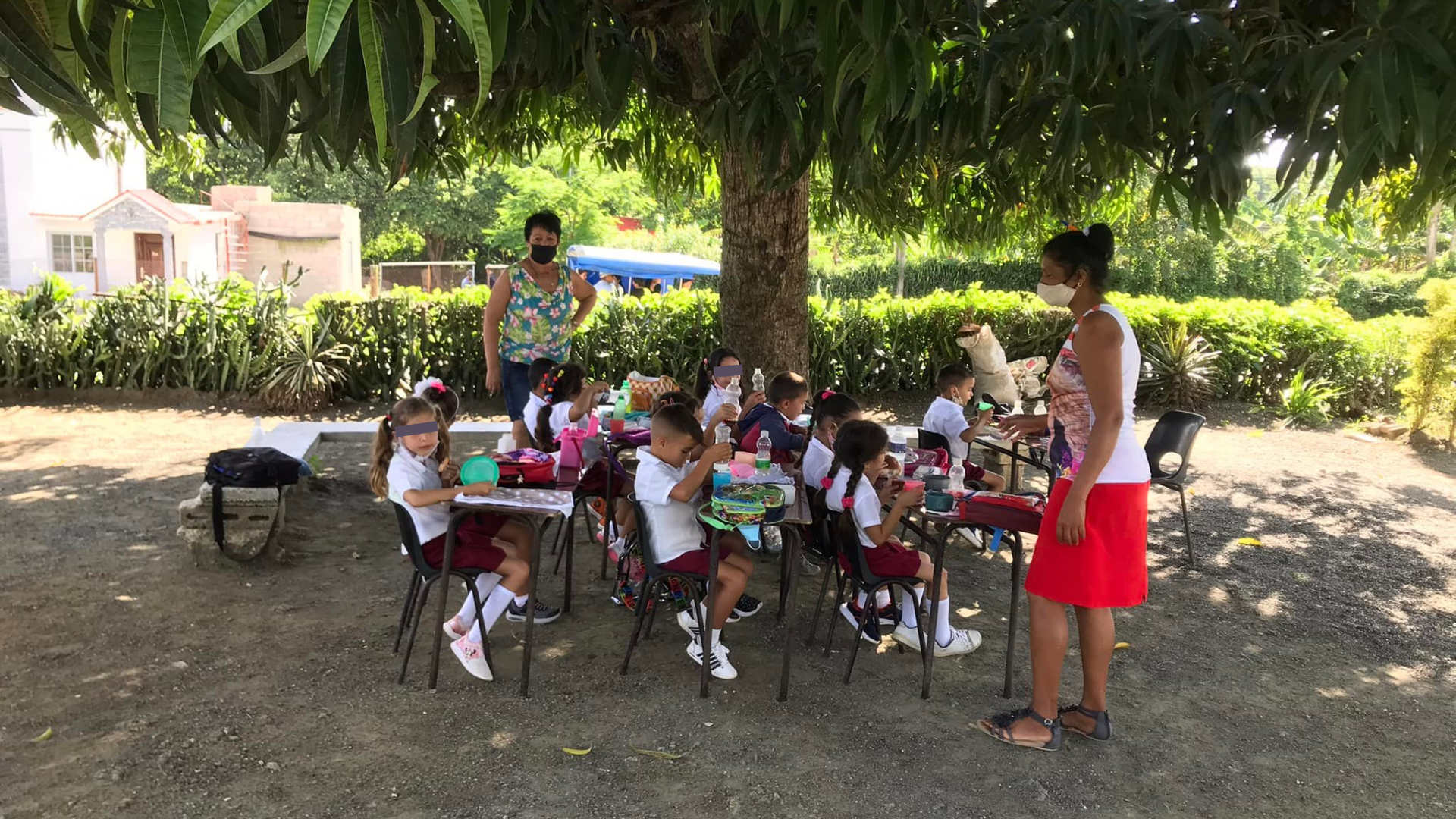 Niños cubanos reciben clases bajo un árbol