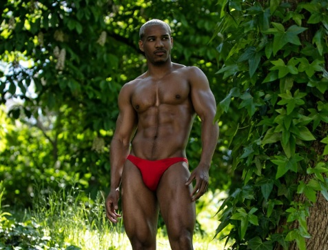 modelo cubano 1 isla