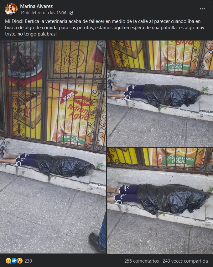 Veterinaria Fallecida