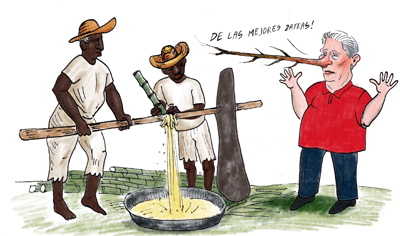 Ilustracion de Canel mentiroso y Zafra en Cuba