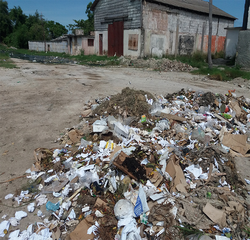 La basura se desborda en las calles de Manzanillo 