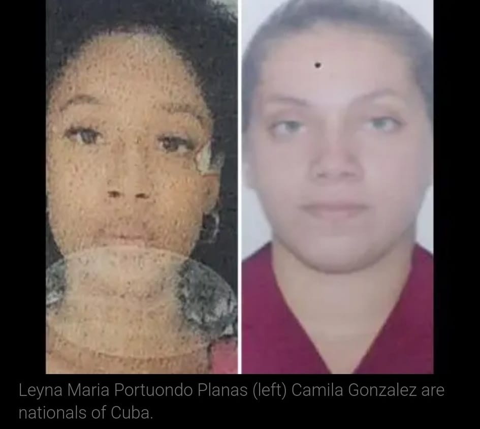 dentro cubanas jamaica