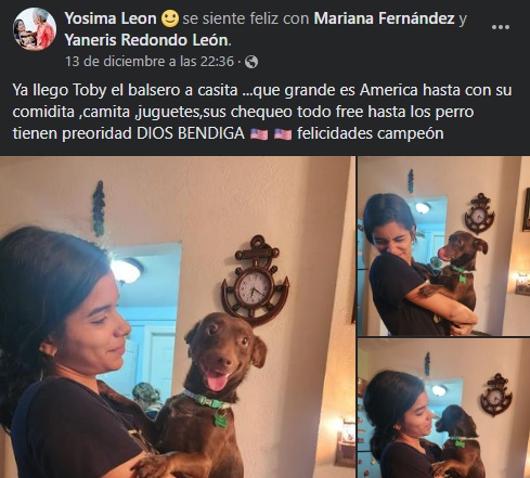 dentro perro balsero