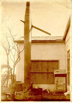 El Huracán y la palma. Cuba.