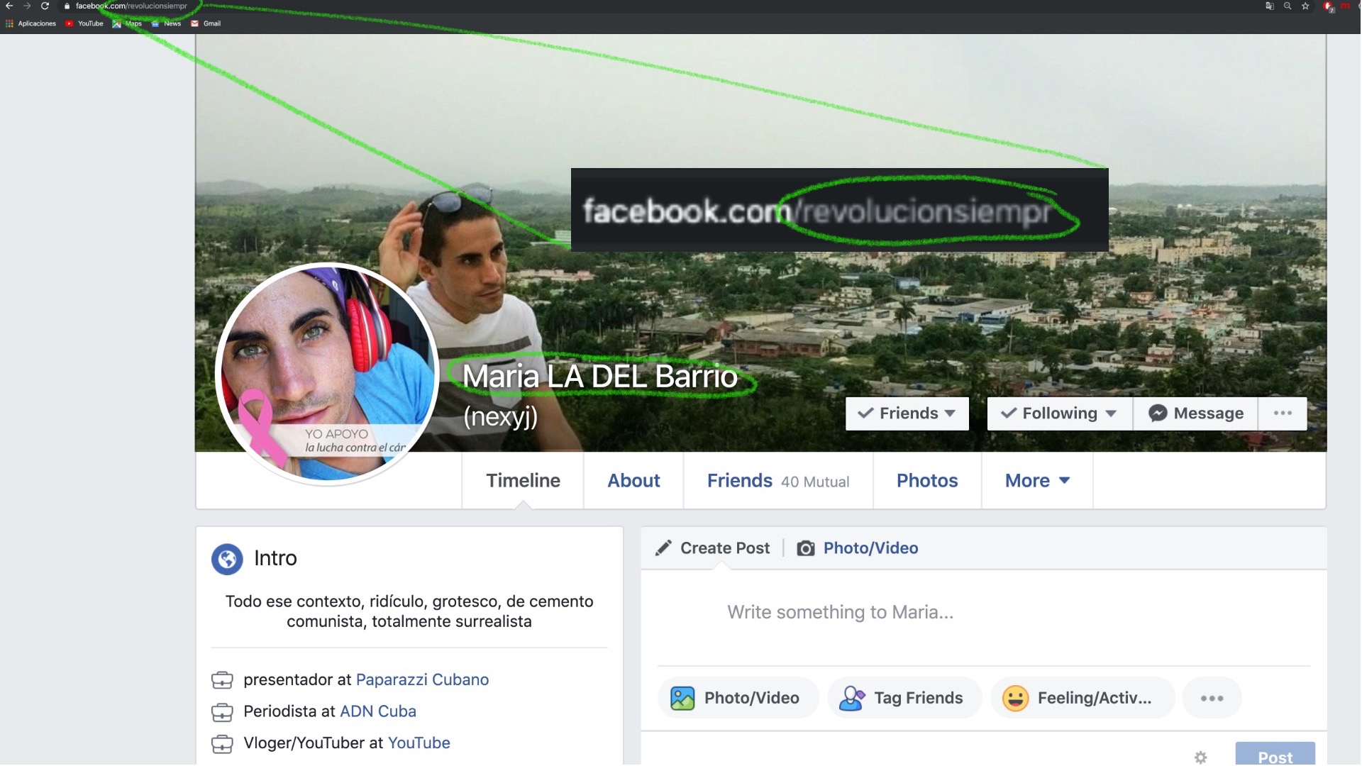 Captura de pantalla del perfil de Facebook de Nelson Julio Álvarez