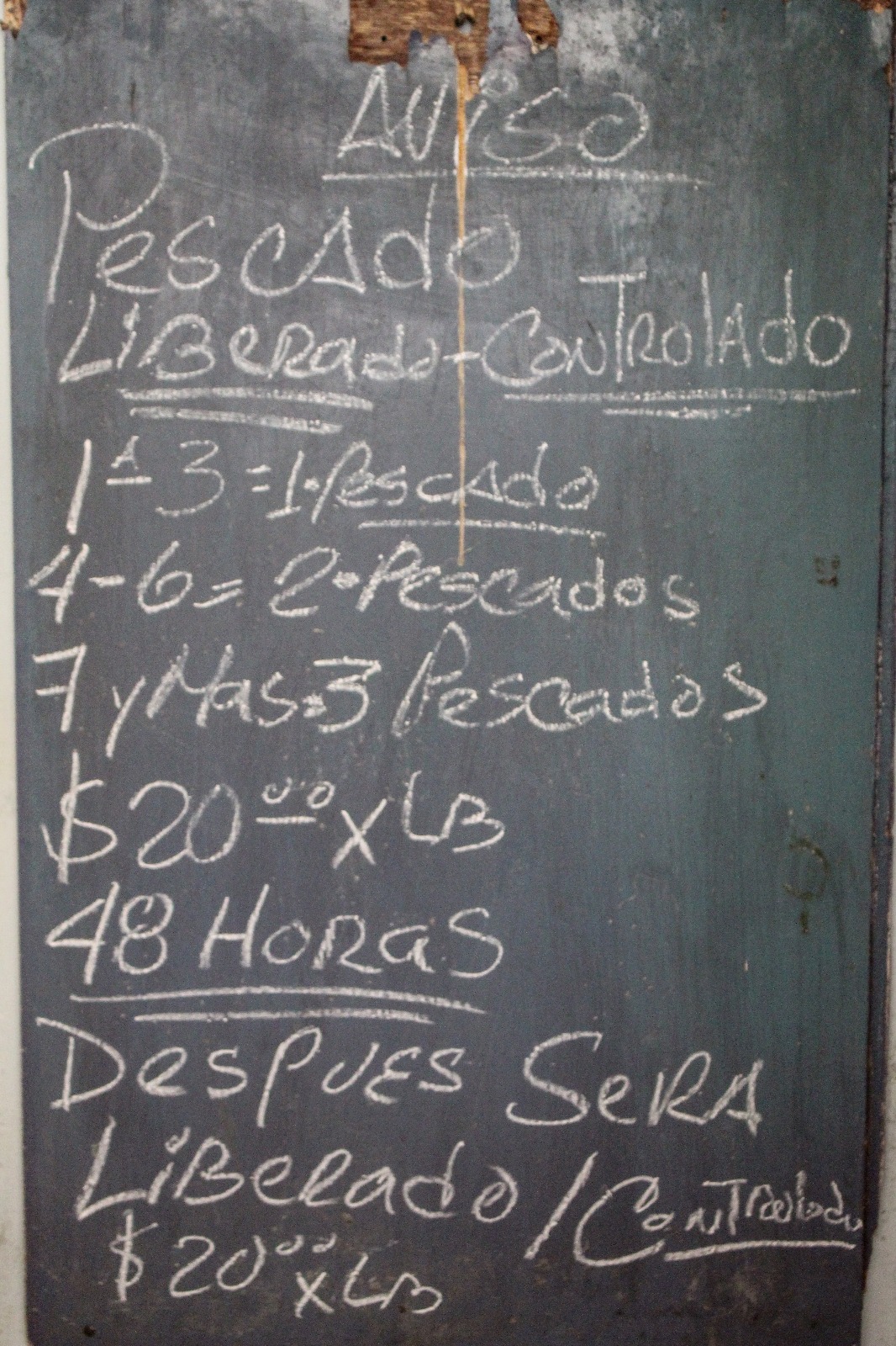 Pescado “liberado – controlado” en La Habana./ Fotos: Samuel Díaz