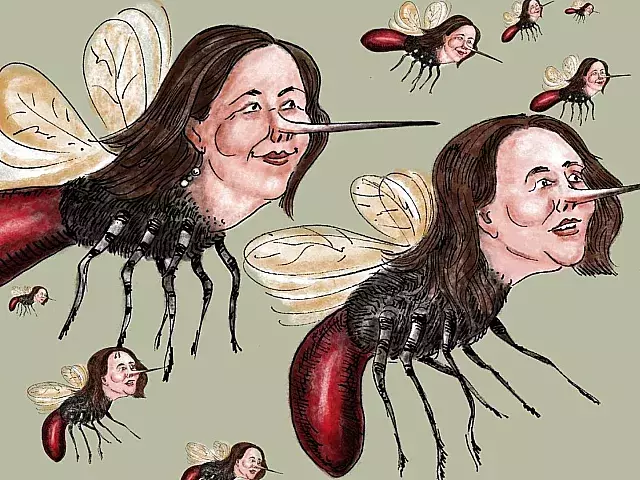 Ilustración de plaga de mosquitos con rostro de Mariela Castro. Imagen: Armando Tejuca