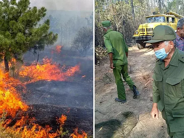 Gran incendio forestal está “sin control”. Collage: ADN Cuba