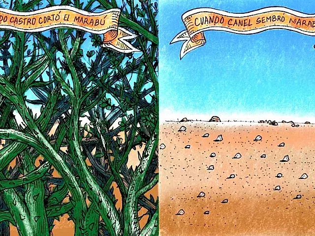 Marabú en Cuba. Ilustración: Armando Tejuca