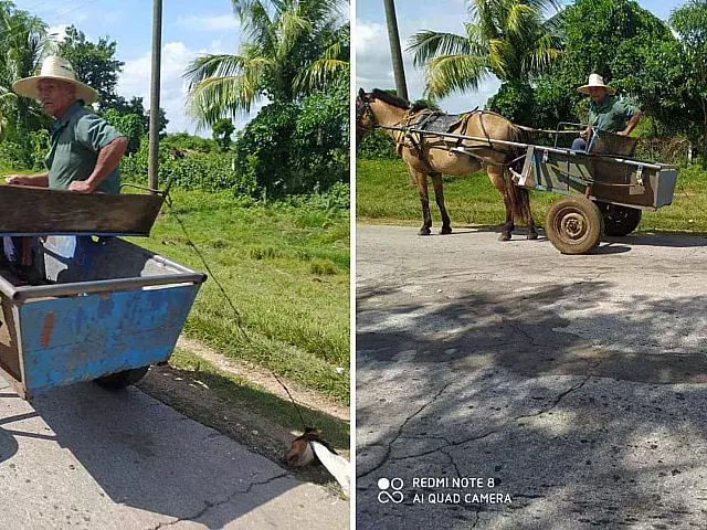 Denuncian maltrato de perro hasta su muerte. Foto: Facebook/Dennis Valdés