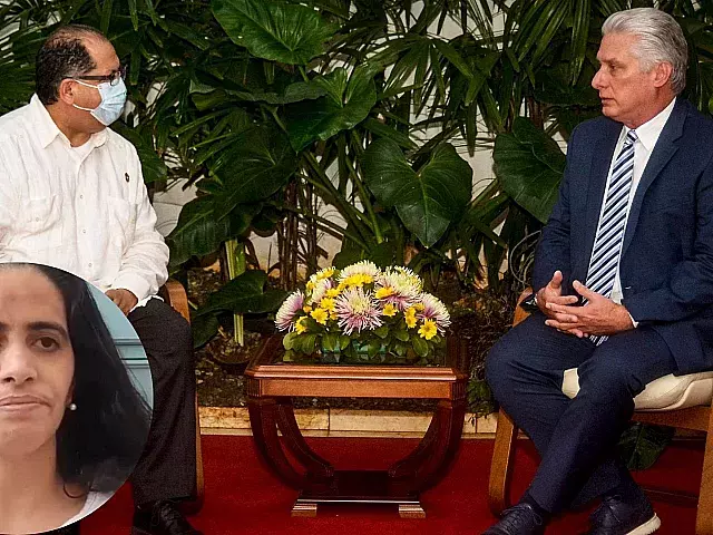 Anamely Ramos critica reunión de PNUD con Díaz-Canel