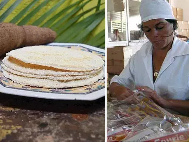 Casabe para sustituir harina y arroz en pasta