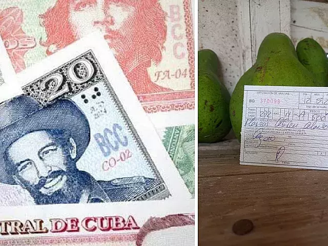 500 pesos de multa por vender sus aguacates