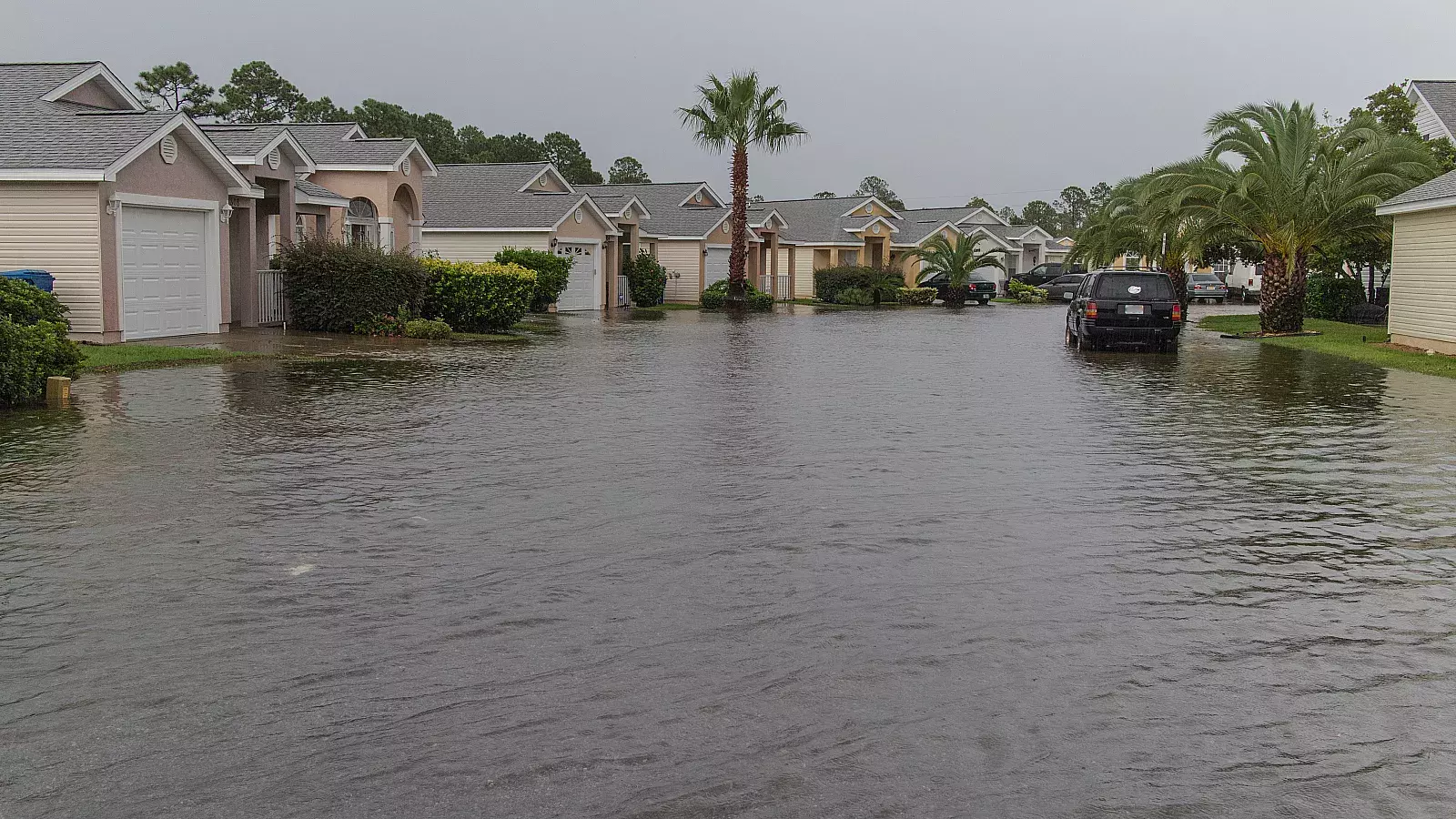 Bacteria carnívora se extiende por Florida tras el huracán Ian