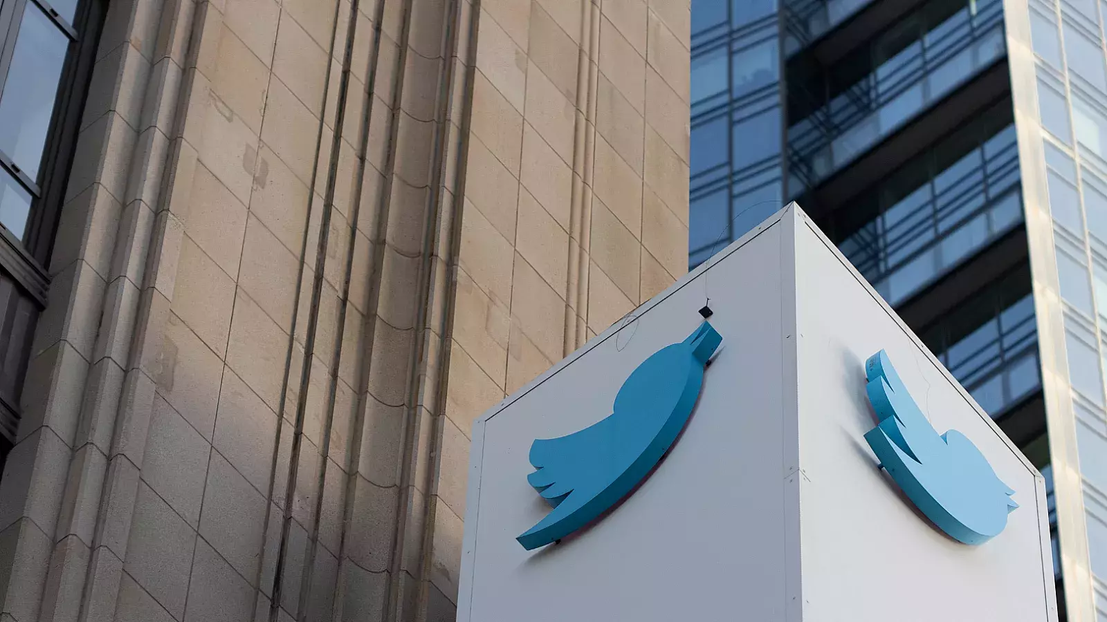 Twitter confabuló con el Pentágono para gestionar una red de cuentas falsas en todo el mundo, según reportes