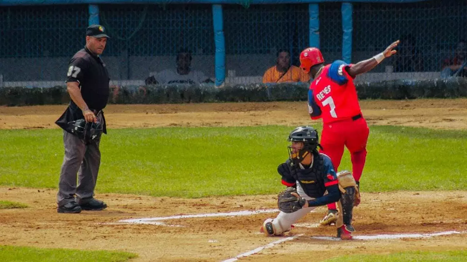 Toros de Camagüey en Series Nacionales