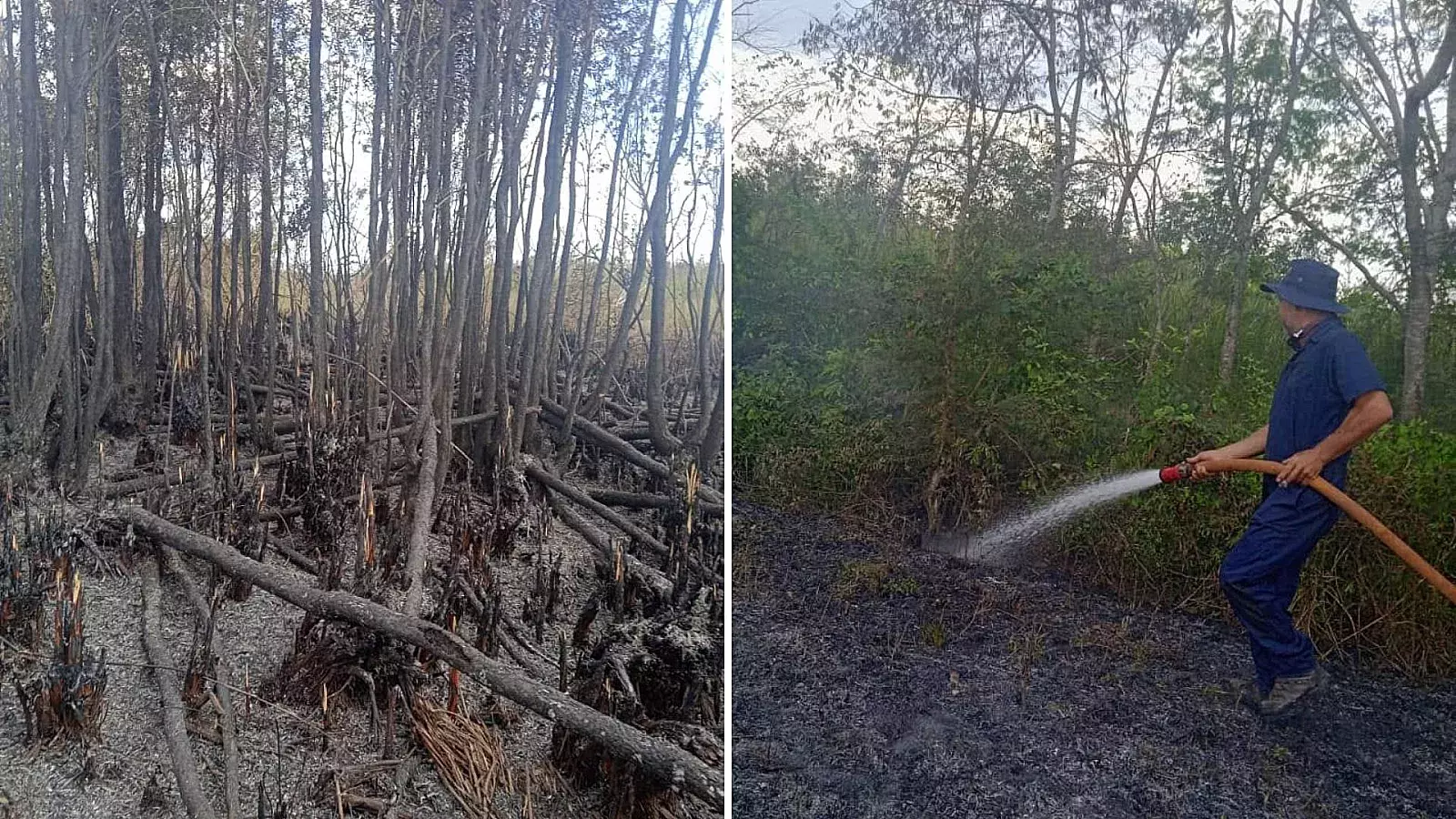 Controlado el incendio forestal de Ciénaga de Zapata