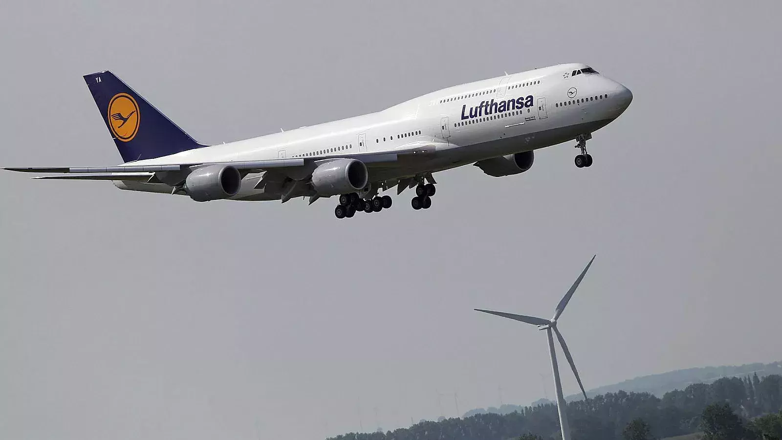 El avión entró en “caída libre”: Siete heridos y un momento de terror en vuelo de Lufthansa