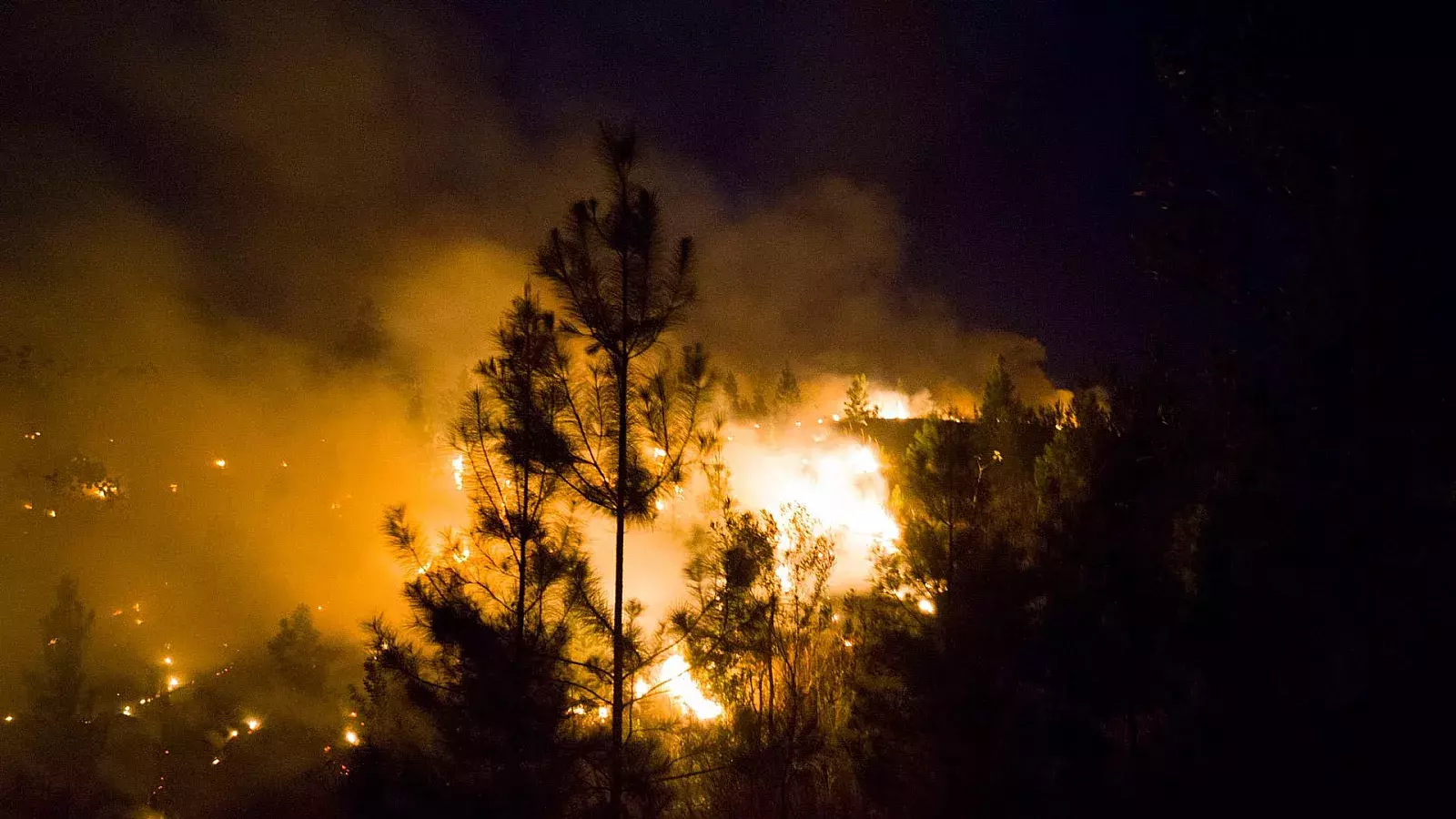 Este incendio es el segundo registrado en Mayarí en 2023