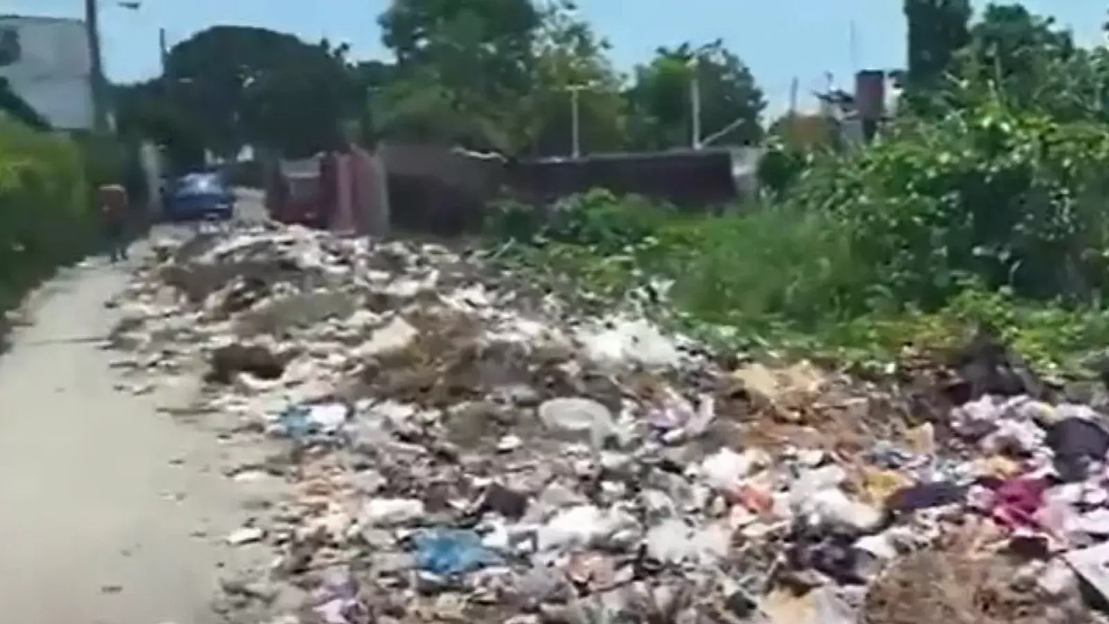 Imágenes de la basura en el barrio El Palenque en la Lisa