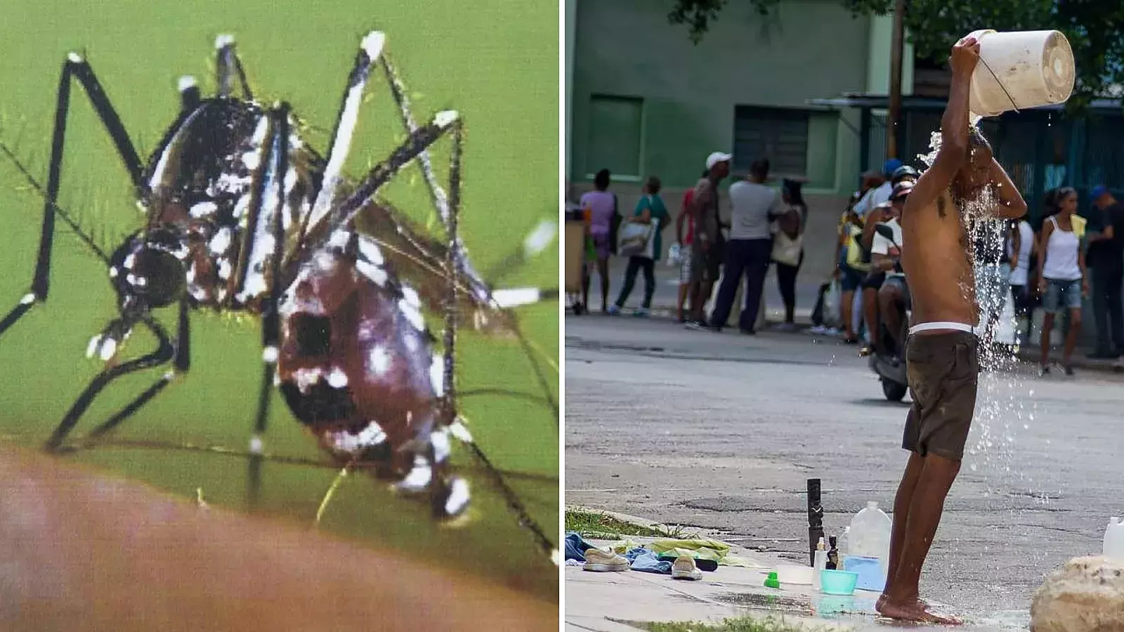 Mosquitos y calor en el verano en Cuba