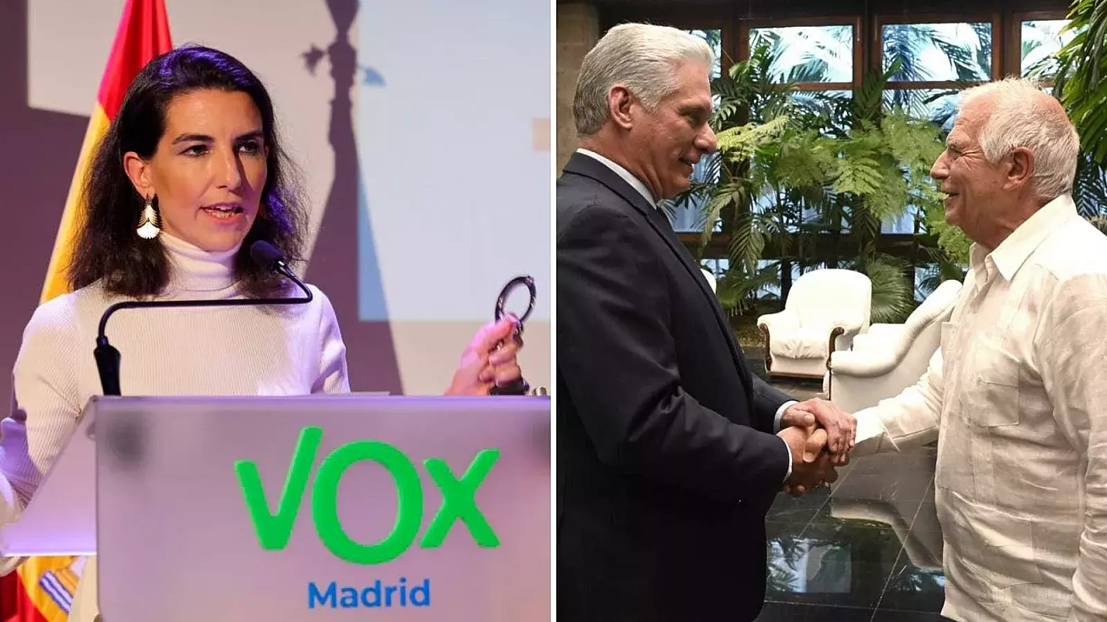 Vox y Borrell saludando a Díaz-Canel