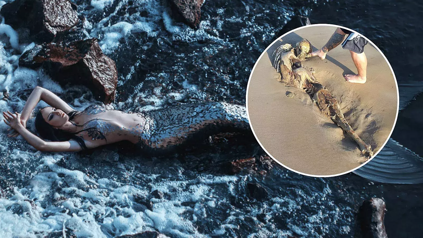 ¿Una sirena? Fotos de extraño esqueleto causan conmoción en redes sociales