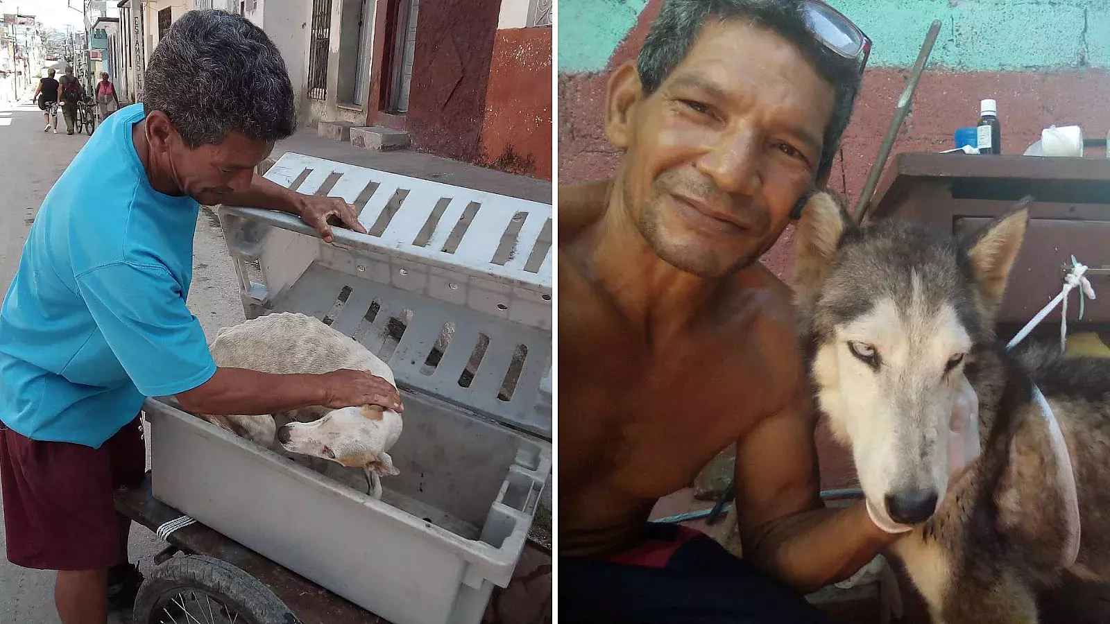 Animalista cubano detenido.