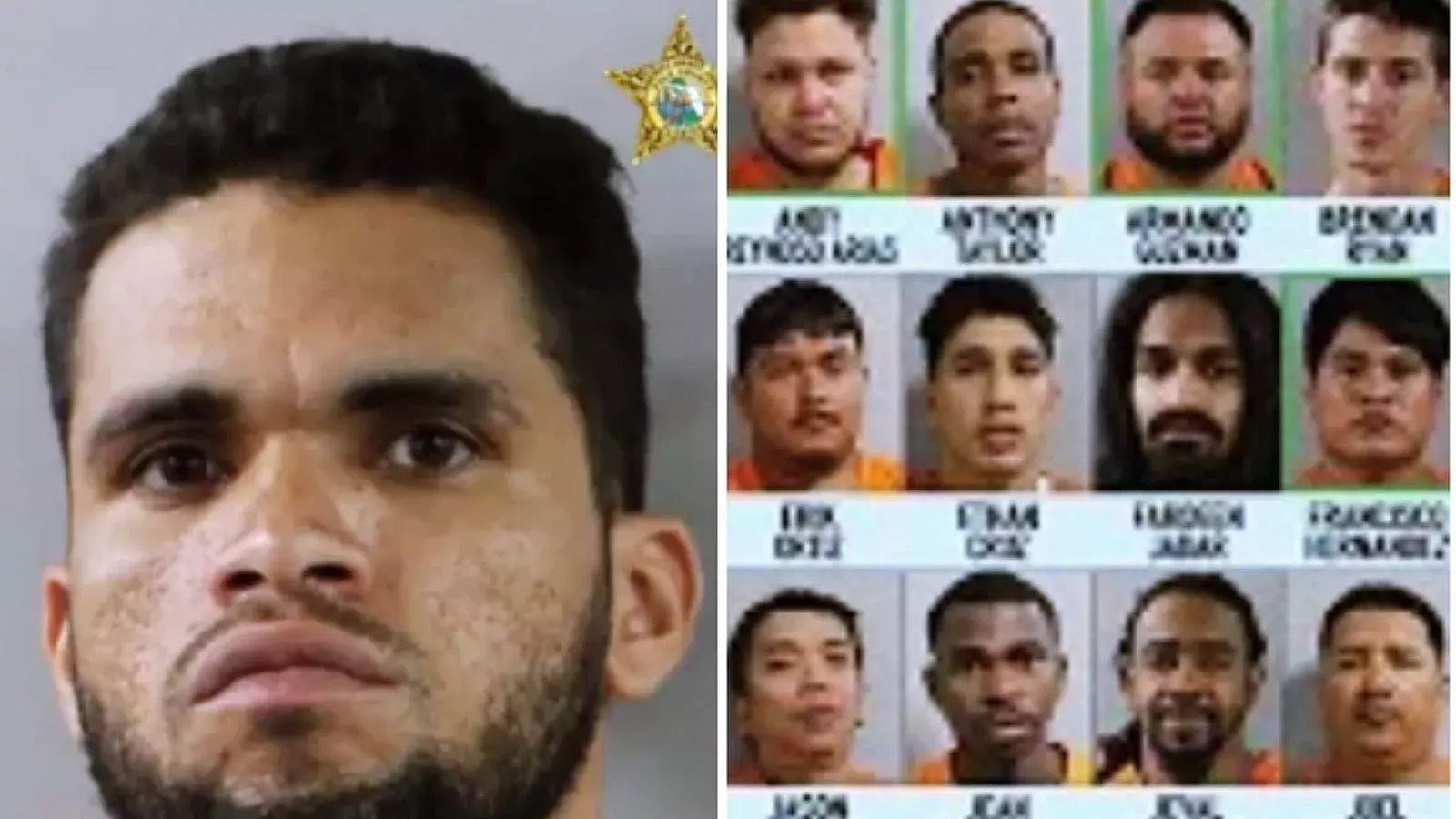 Redada en Florida destruye red de tráfico humano: 35 ilegales entre los detenidos