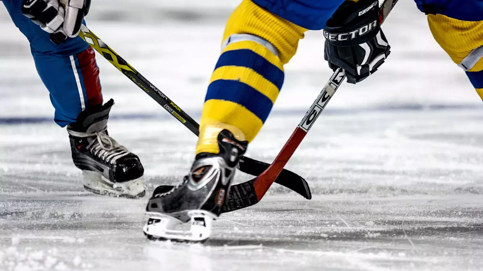 VIDEO: Muere jugador de hockey tras cortarse el cuello con la cuchilla de un patín en pleno partido