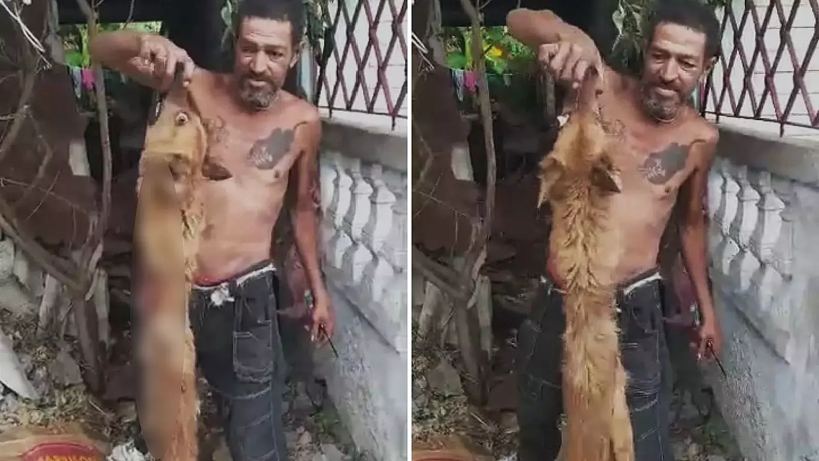 Denuncian a cubano por supuestamente comerse un perro