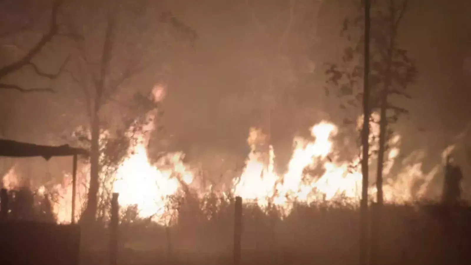 Incendio en zona forestal de Santa Clara