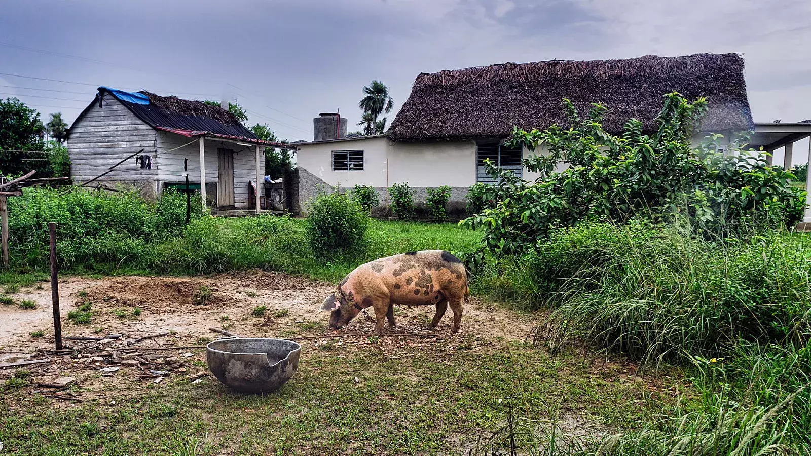 Imagen del campo cubano