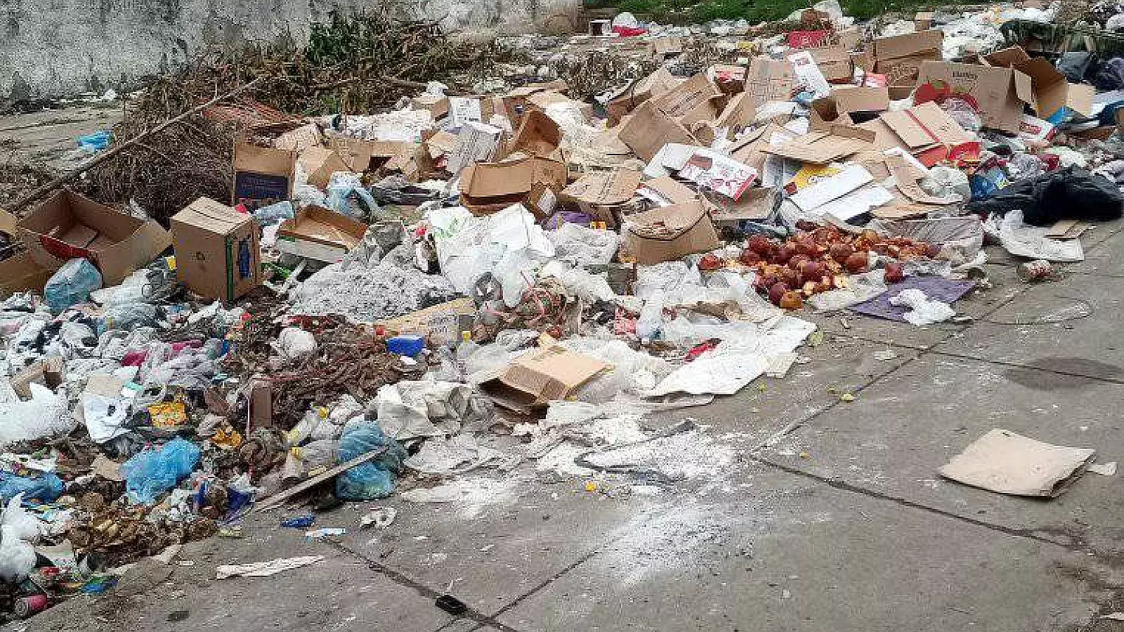 Basura-Santa Clara