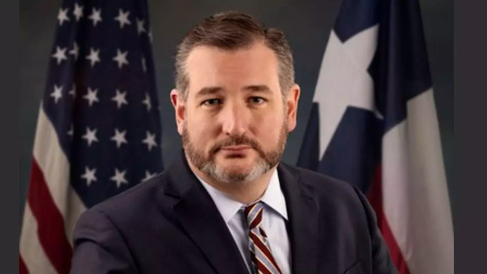 Senador Ted Cruz