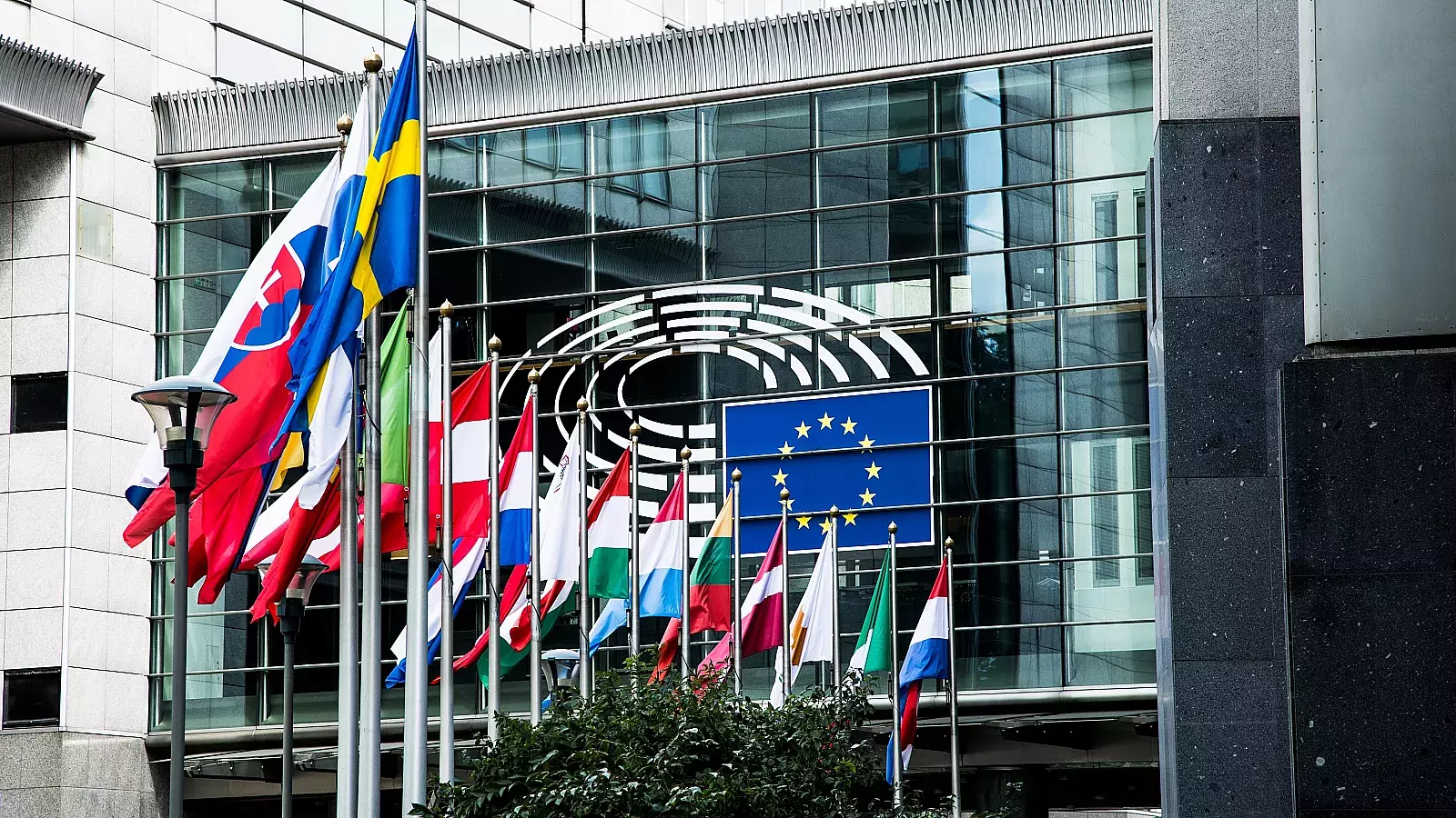 Subcomisión del Parlamento Europeo exige liberación de Ferrer y Navarro en Cuba