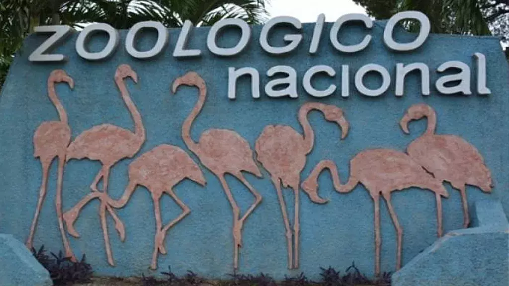Zoológico de La Habana