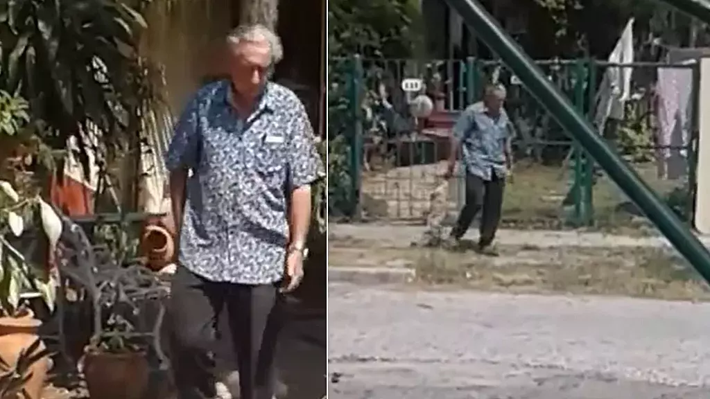Los denuncias sobre maltrato animal en Cuba son frecuentes