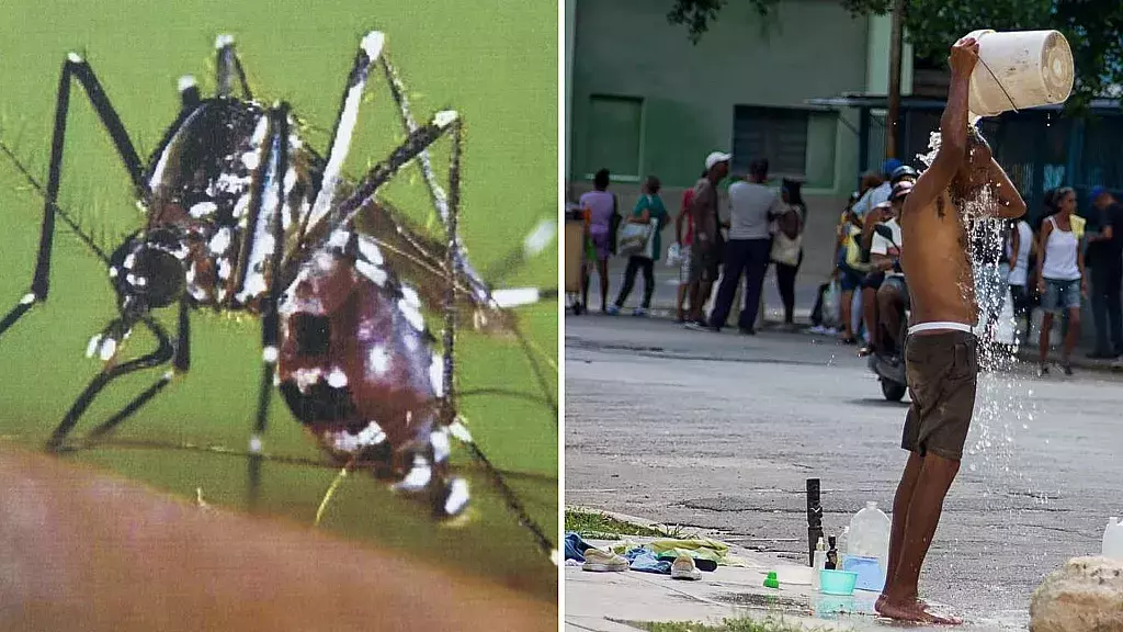 Mosquitos y calor en el verano en Cuba