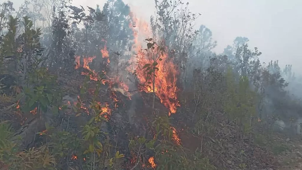 El incendio se extiende en varias direcciones, lo que dificulta su extinción