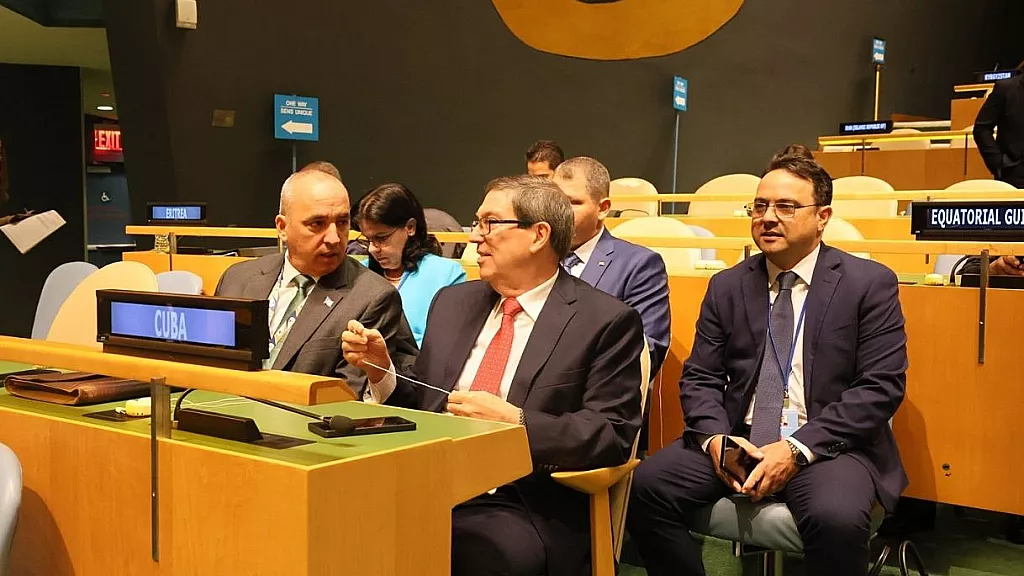 Régimen cubano pierde apoyo en la Asamblea General de las Naciones Unidas