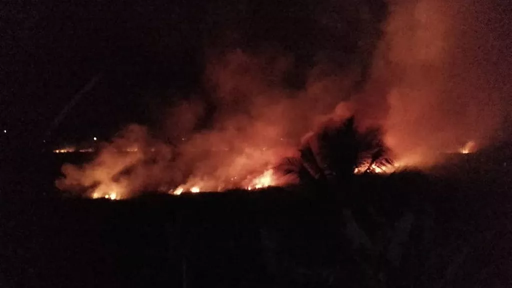 Se incendian varios kilómetros de mangle en Matanzas.