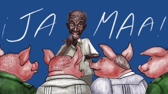 La medicina agraria y el voraz apetito de los cubanos Pollo y más pollo, y si esto sigue así, por la mañana usted se levantará y colará un pollo. Se tomará un buchito de pollo