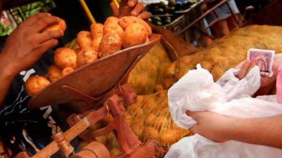 Régimen incrementa precio de la papa Régimen incrementa precio de la papa